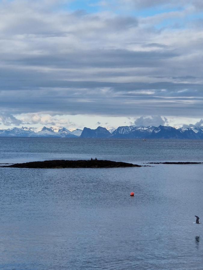 Roligheten Lodge In Andenes Exterior photo